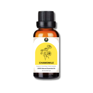 Chamomile Oil Blue Roman