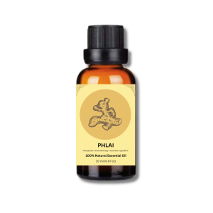 PLai Essential Oil ไพล
